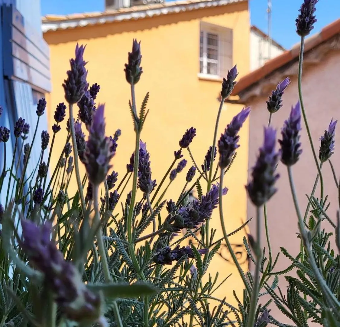 Holiday home Village House In Provence La Roquette-sur-Siagne France